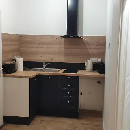 Appartements Simples Et Fonctionnels Pamiers Extérieur photo