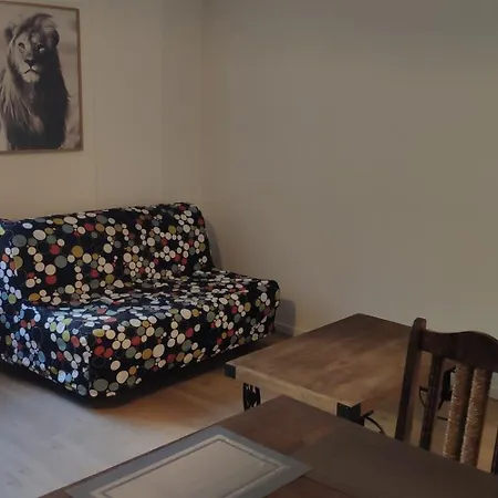 Appartements Simples Et Fonctionnels Pamiers Extérieur photo